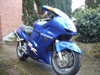 Avatar du membre